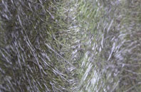 Oldwalls fibreglass roof work